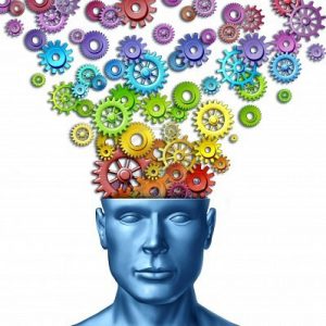 mmaginare-e-inventare-come-l-39-immaginazione-umana-e-l-39-uomo-creativo-come-il-cervello-intellige