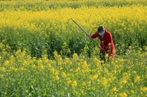 Scopri di più sull'articolo La fiducia nelle nostre risorse, la fiducia nella vita