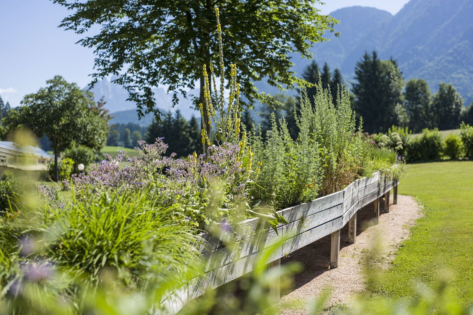 Al momento stai visualizzando Un viaggio nella natura